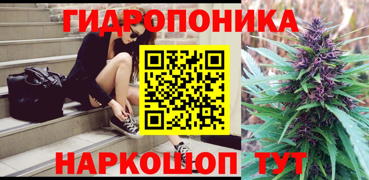 Бошки Шишки THC 21%  Вход с VPN  Бошки Шишки SATIVA & INDICA  Конаково  Бошки Шишки сатива  МАРИХУАНА планчик 